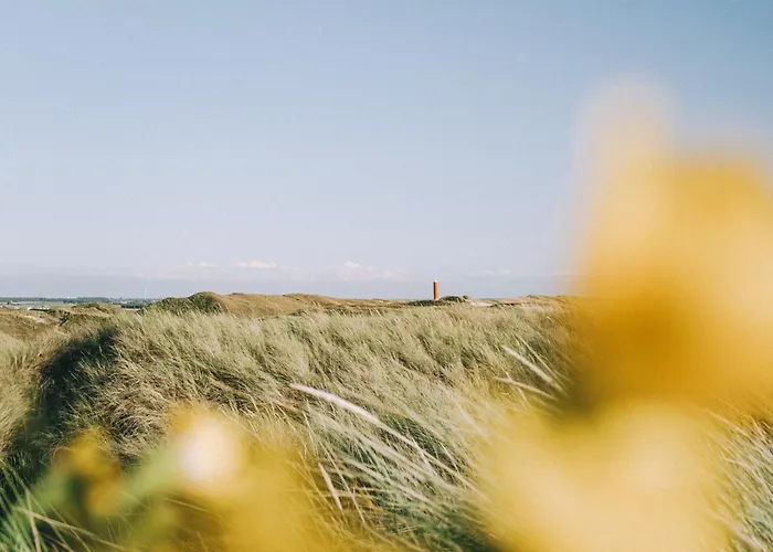 Chalet Luttikduin Nr 10 - Callantsoog Aan Zee