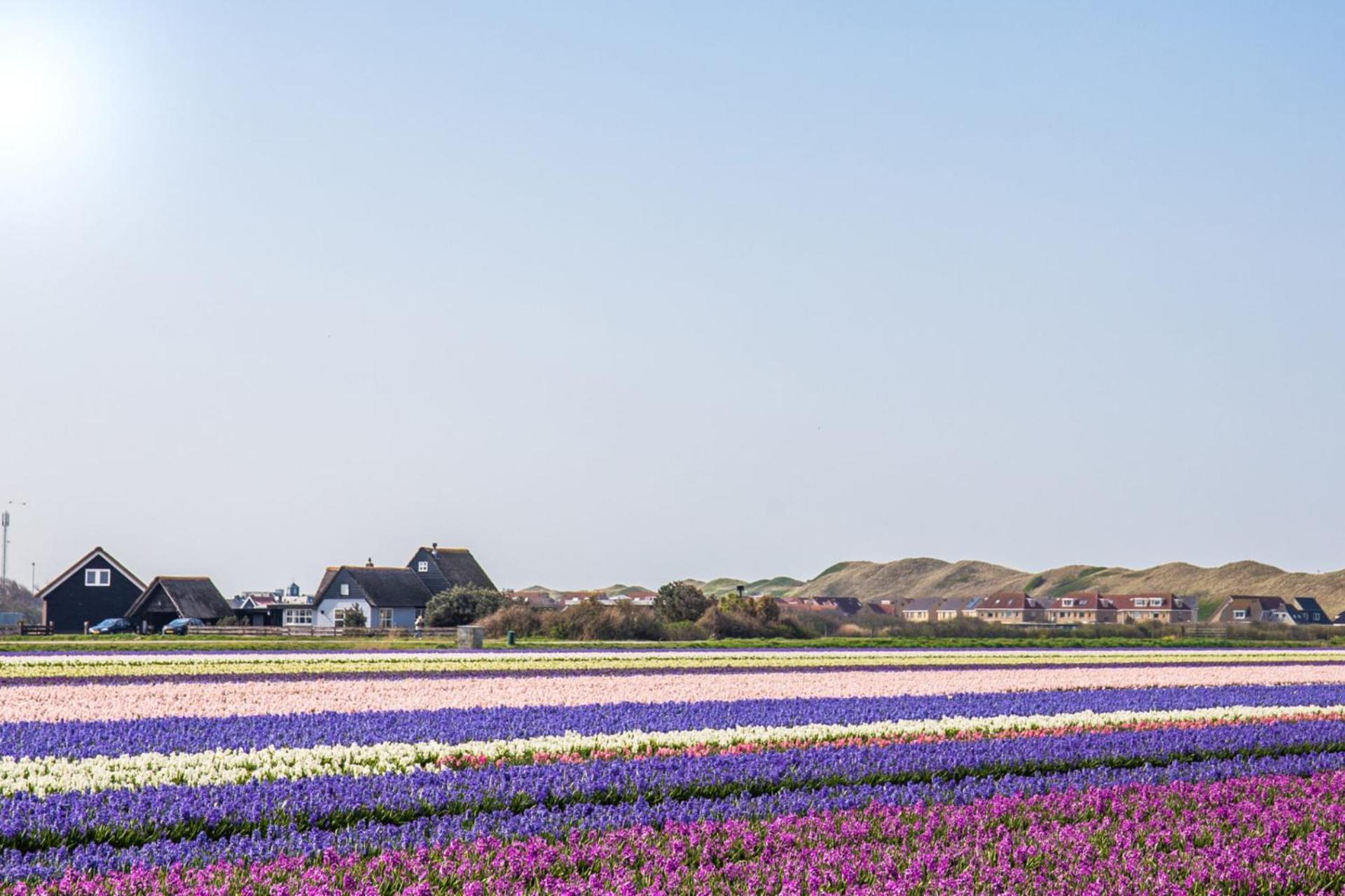 Luttikduin Nr 10 - Aan Zee *